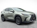 2024 Lexus NX NX 350