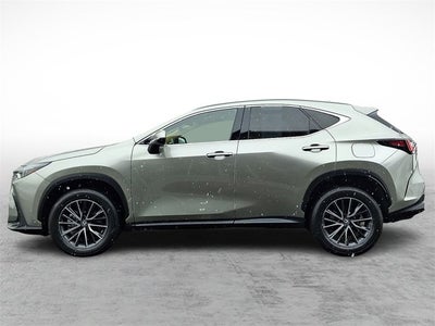 2024 Lexus NX NX 350