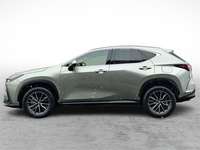 2024 Lexus NX NX 350