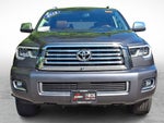 2019 Toyota Sequoia Platinum