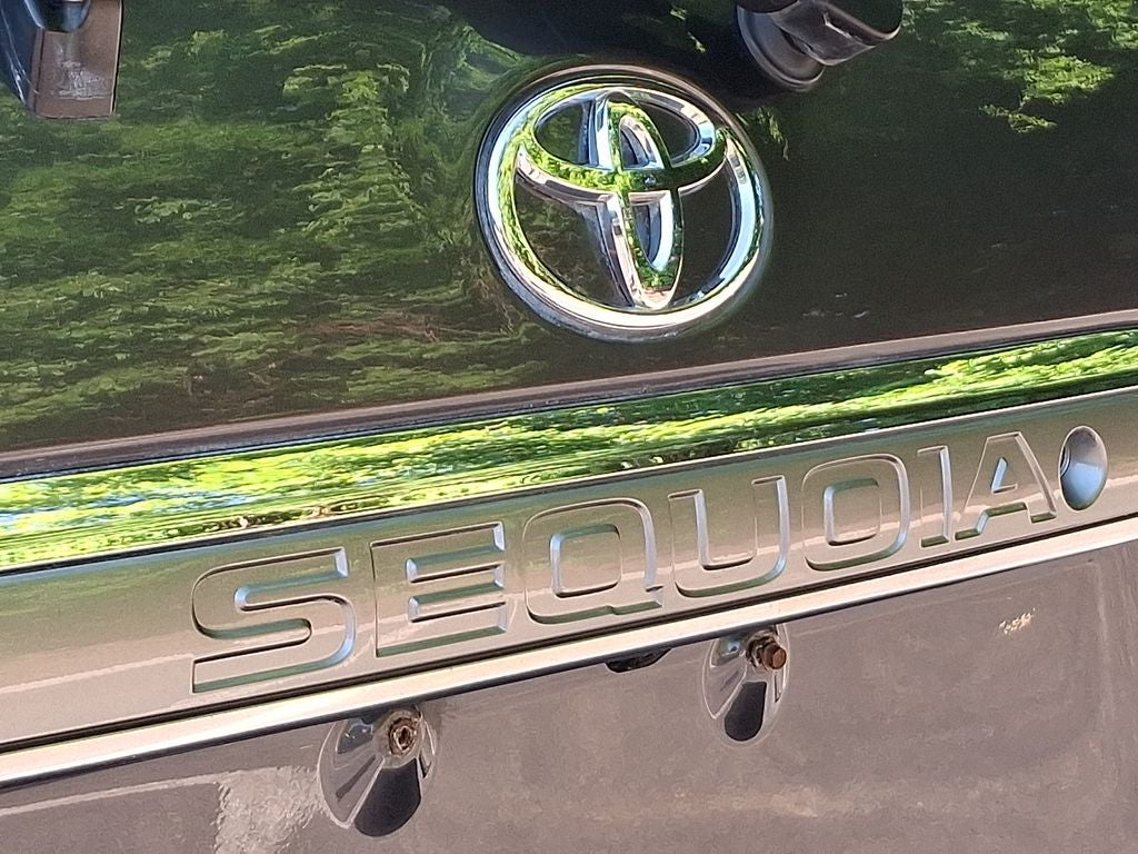 2019 Toyota Sequoia Platinum