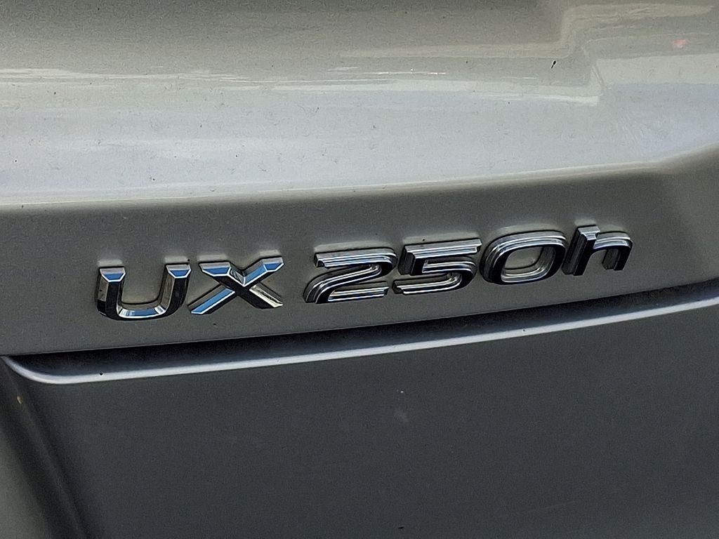2020 Lexus UX 250h Base