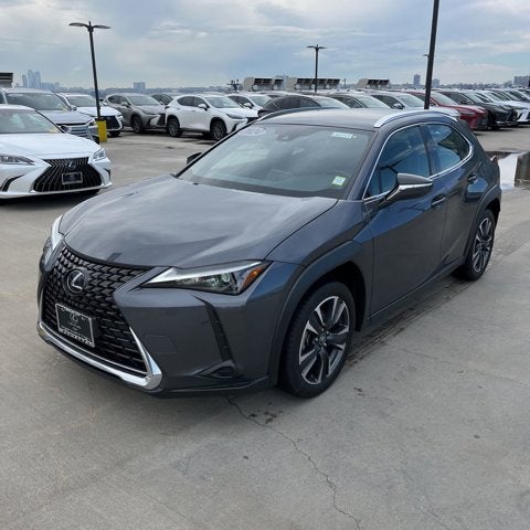 2024 Lexus UX UX 250h